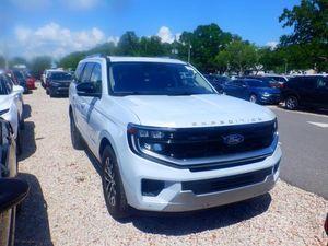 FORD EXPEDITION PLATINUM - 10