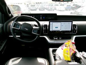 FORD EXPEDITION TREMOR - 4