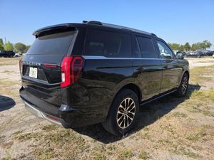 FORD EXPEDITION PLATINUM - 2