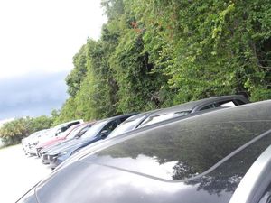 2025 Mazda CX-50 2.5 S PREMIUM PACKAGE — миниатюра 28
