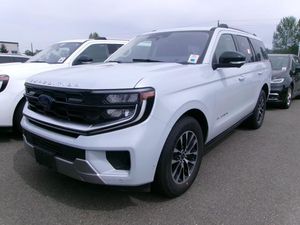 FORD EXPEDITION PLATINUM - 1