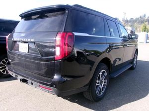 FORD EXPEDITION ACTIVE - 2