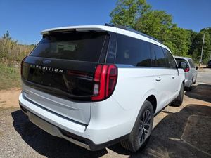 FORD EXPEDITION PLATINUM - 2