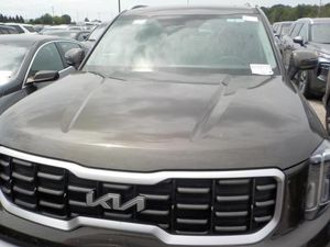 2025 KIA TELLURIDE S thumbnail 17