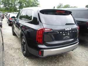 2025 KIA TELLURIDE S thumbnail 24