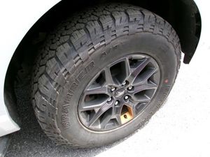 FORD EXPEDITION TREMOR - 9