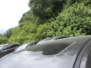 2025 Mazda CX-5 2.5 S PREFERRED PACKAGE 缩略图 20