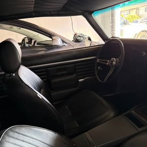 1981 Chevrolet CAMARO 照片 12