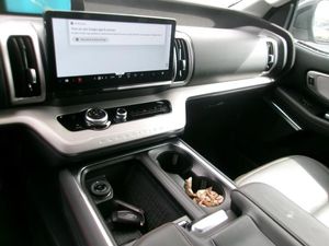 FORD EXPEDITION MAX ACTIVE - 8