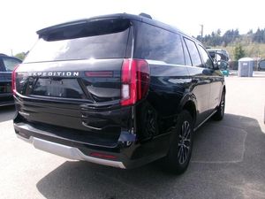 FORD EXPEDITION PLATINUM - 2