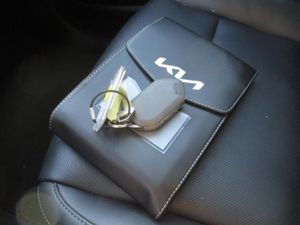 2025 KIA TELLURIDE S thumbnail 16