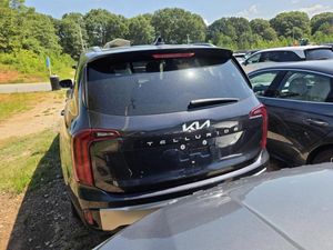 2025 KIA TELLURIDE S 缩略图 20