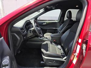 2025 FORD ESCAPE ST-LINE 照片 3