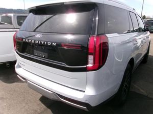 FORD EXPEDITION PLATINUM - 2