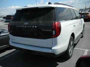 FORD EXPEDITION ACTIVE - 2