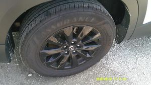 2025 Mazda CX-50 2.5 S PREMIUM PACKAGE — фото 10