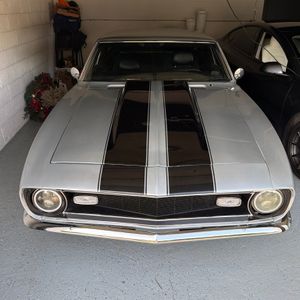 1981 Chevrolet CAMARO 照片 10