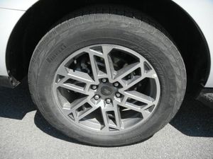 FORD EXPEDITION ACTIVE - 10