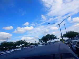 Thumbnail 28