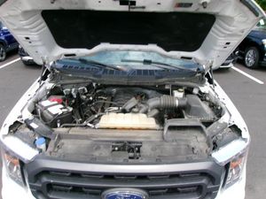 صورة مصغرة 21 لـ 2023 FORD F-150 XLT