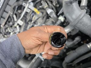 FORD BRONCO BIG BEND - 9