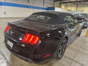 FORD MUSTANG ECOBOOST - 2