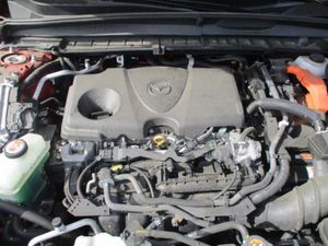 صورة مصغرة 19 لـ 2025 Mazda CX-50 HYBRID PREMIUM PACKAGE