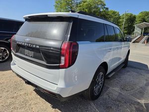FORD EXPEDITION ACTIVE - 2