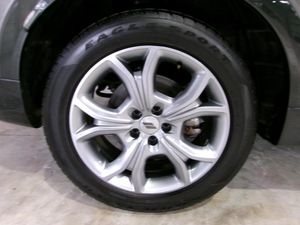 DODGE HORNET R/T - 10