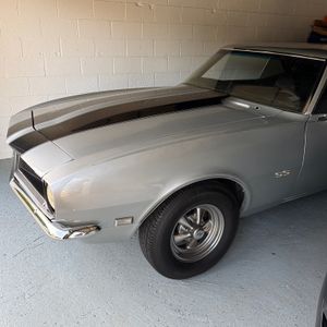 1981 Chevrolet CAMARO 照片 14
