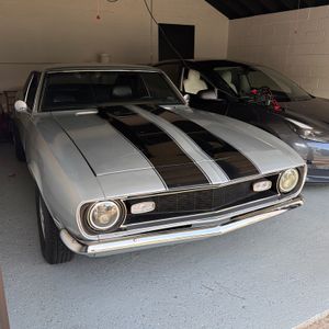 1981 Chevrolet CAMARO 照片 1