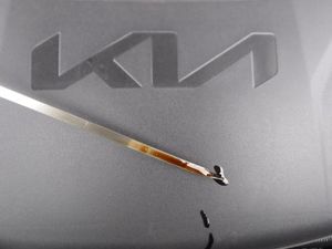 صورة مصغرة 19 لـ 2025 KIA TELLURIDE S