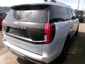 FORD EXPEDITION PLATINUM - 2