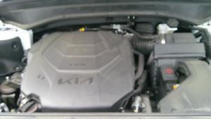 صورة مصغرة 18 لـ 2025 KIA TELLURIDE S